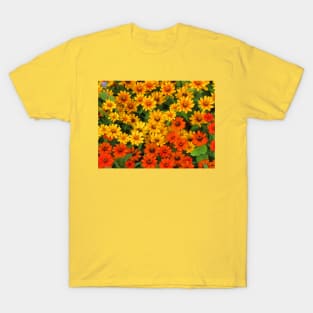 colorful blooming flowers, garden, blooms, petals T-Shirt